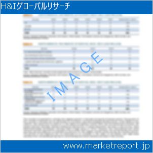 市場と産業調査レポートのイメージ